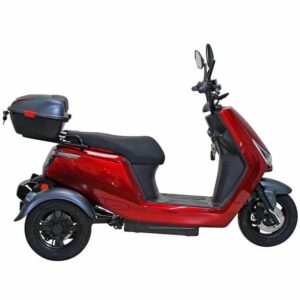 For Motion Trion, For Motion Trion Scootmobiel